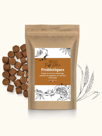 Probiotique chien